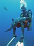 AmbergrisCaye05 - 018 * Nurse Shark Massage